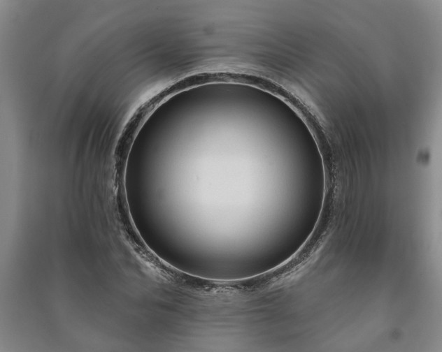 X0000091230974200708161713