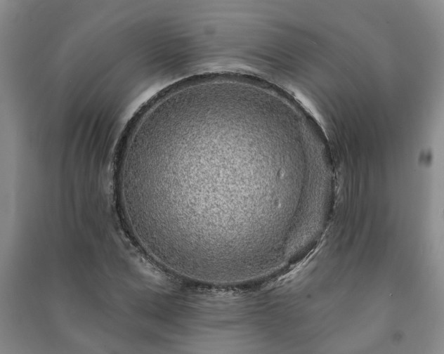 X0000091230975200708161713
