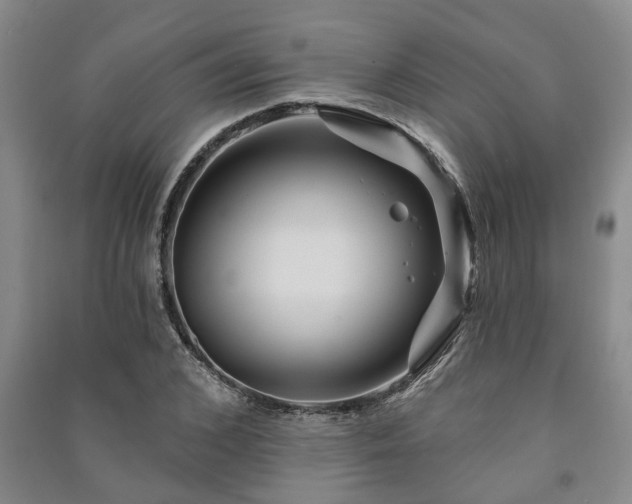 X0000091230976200708161713