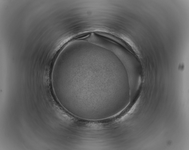 X0000091230977200708161713