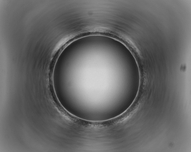 X0000091230978200708161713