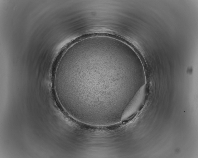 X0000091230979200708161713
