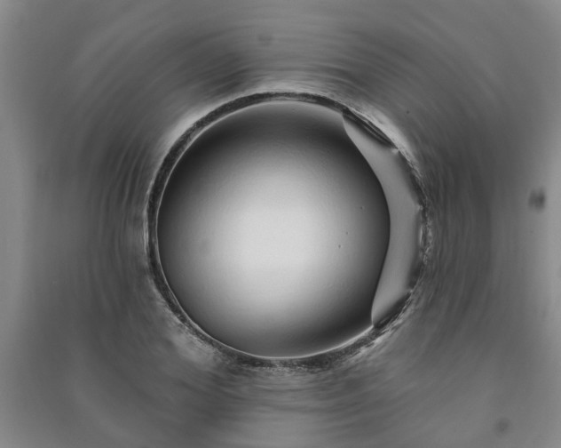 X0000091230980200708161713