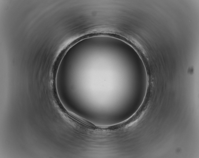 X0000091230981200708161713
