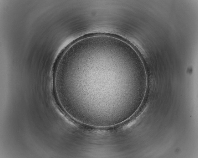 X0000091230982200708161713