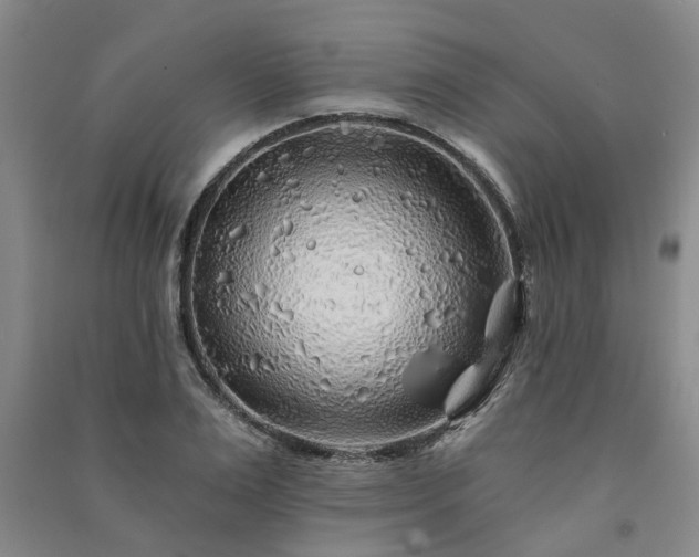 X0000091230983200708161713