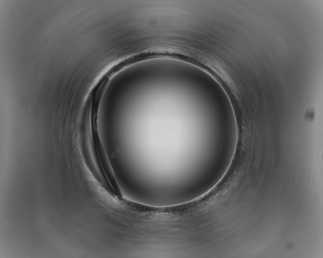 X0000091230984200708161713
