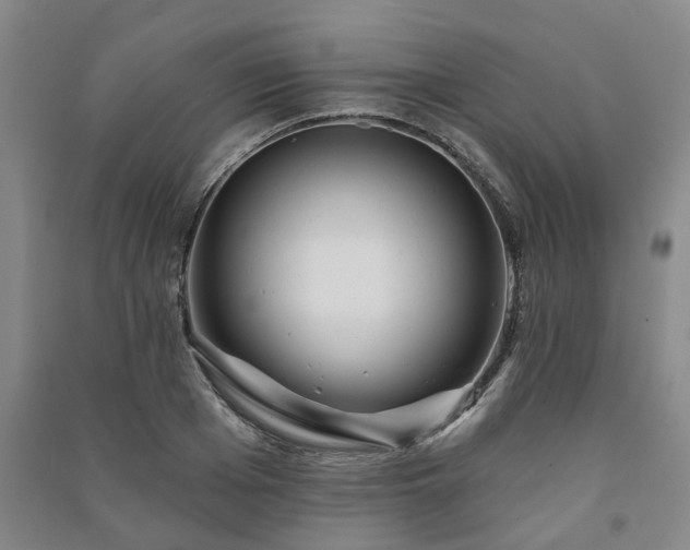 X0000091230985200708161713