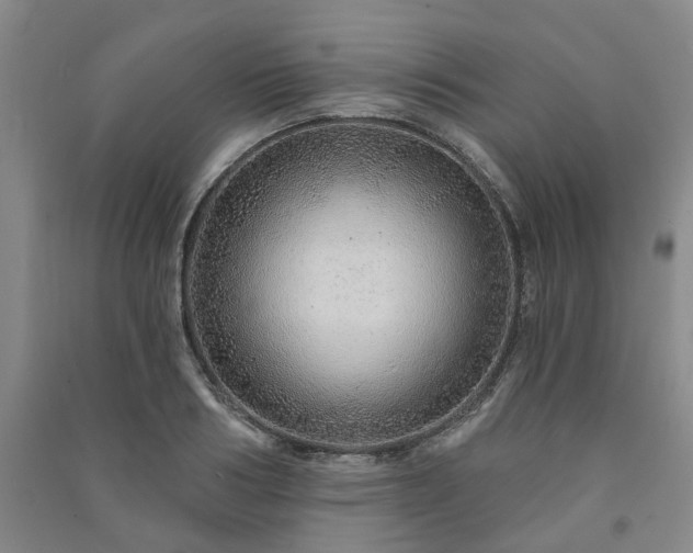 X0000091230986200708161713