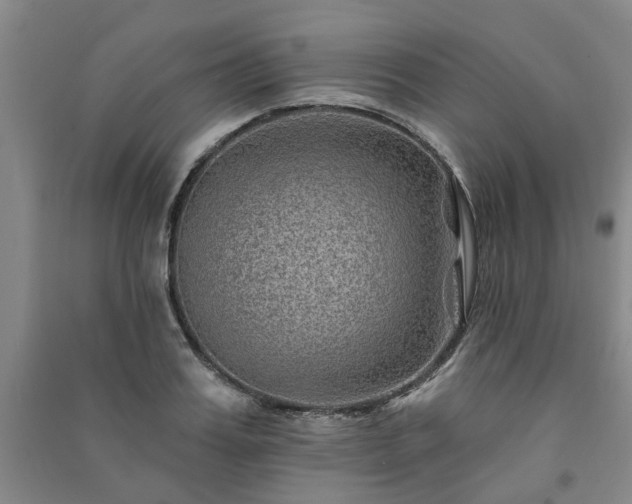 X0000091230987200708161713
