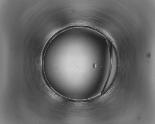 X0000091230988200708161713