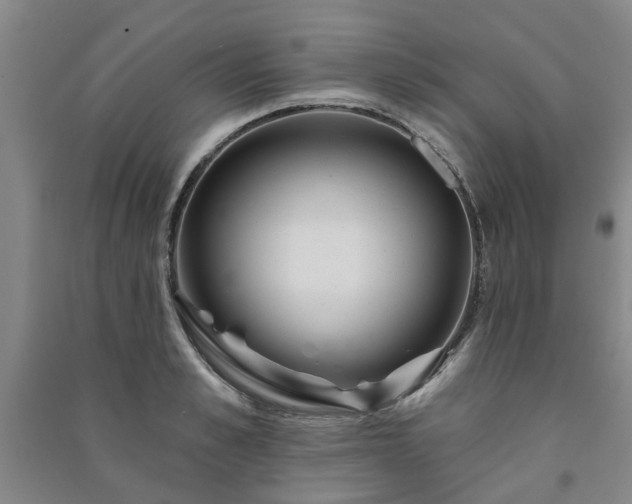 X0000091230989200708161713