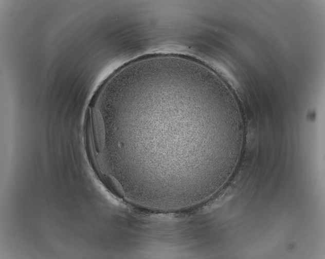 X0000091230990200708161713
