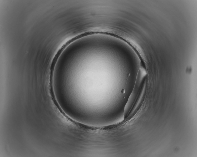 X0000091230992200708161713
