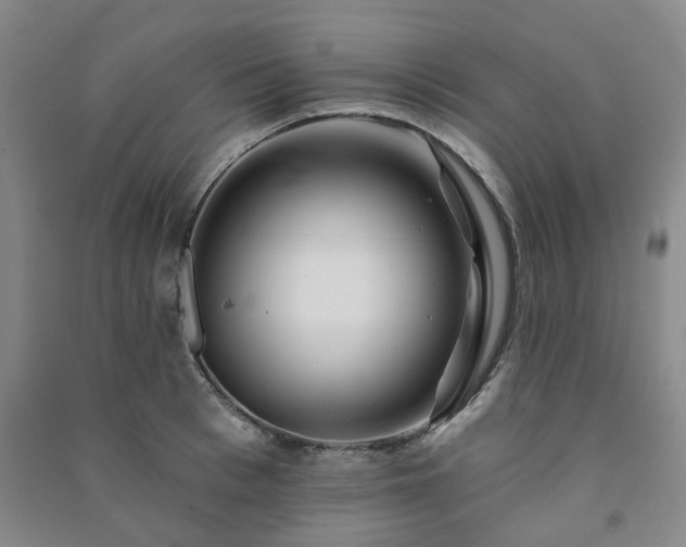 X0000091230993200708161713