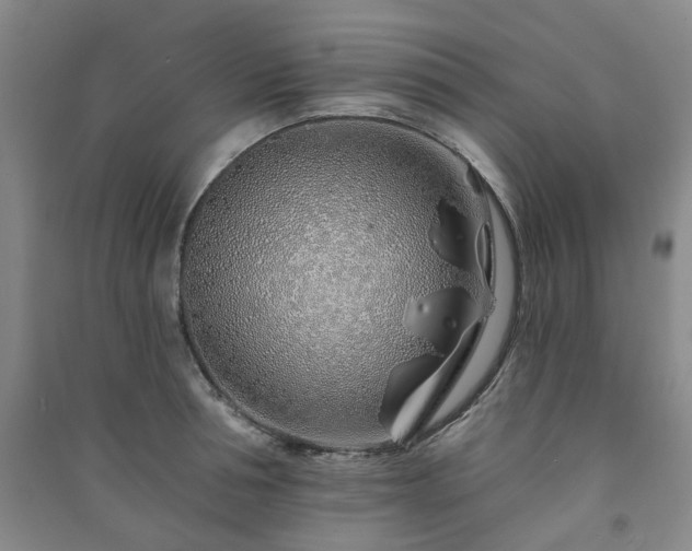 X0000091230994200708161713