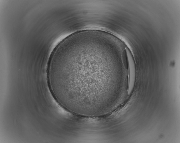 X0000091230995200708161713
