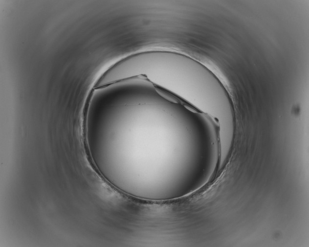 X0000091230996200708161713