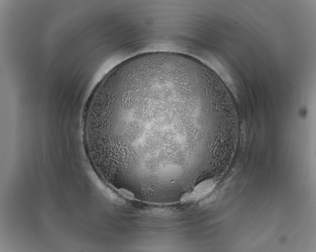 X0000091230998200708161713
