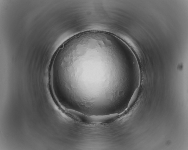 X0000091230999200708161713
