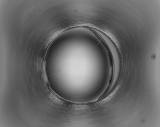 X0000091231001200708161713