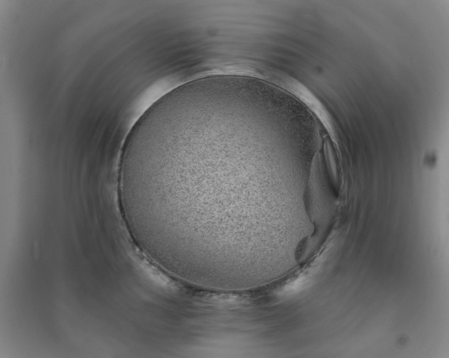 X0000091231002200708161713