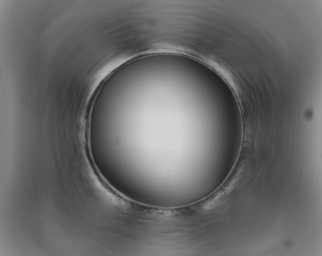 X0000091231003200708161713