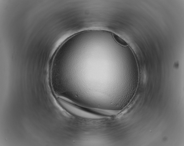 X0000091231006200708161713