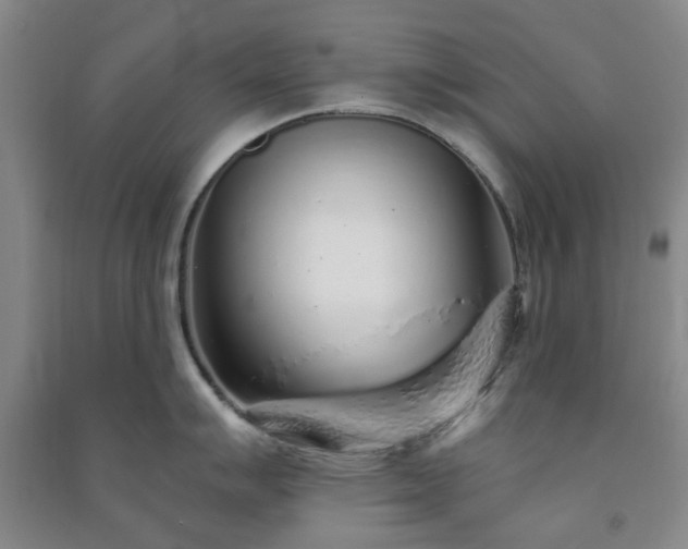 X0000091231007200708161713