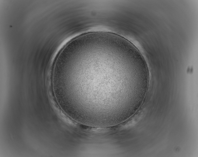 X0000091231008200708161713