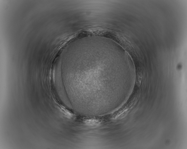 X0000091231010200708161712