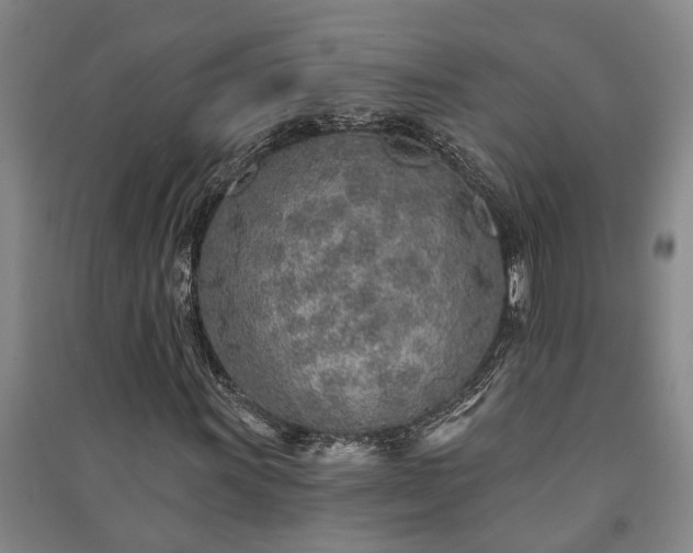 X0000091231011200708161712