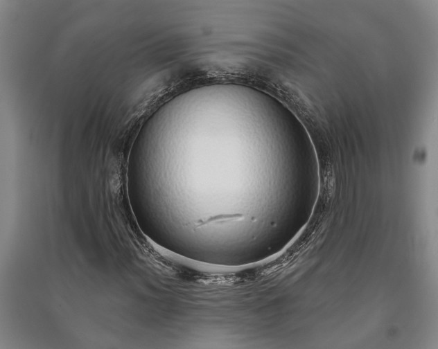 X0000091231012200708161712