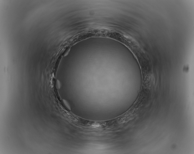 X0000091231013200708161712