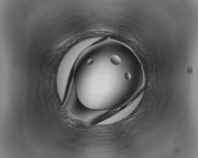 X0000091231014200708161712