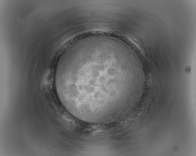 X0000091231015200708161712