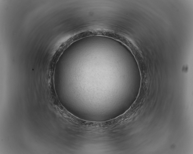 X0000091231016200708161712