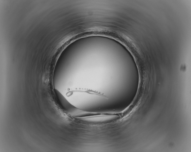 X0000091231017200708161712