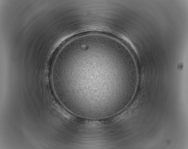 X0000091231019200708161712