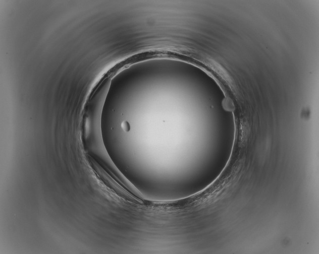 X0000091231020200708161712