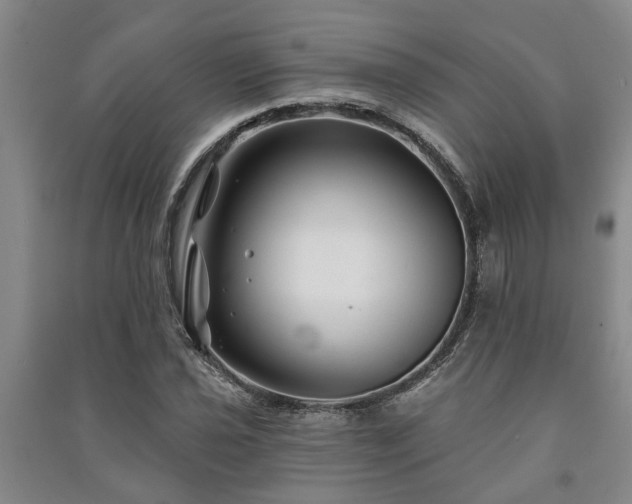 X0000091231021200708161712