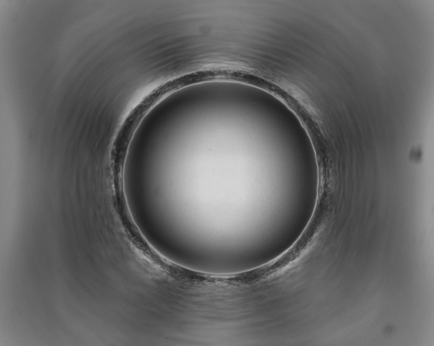 X0000091231022200708161712