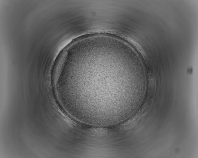 X0000091231023200708161712