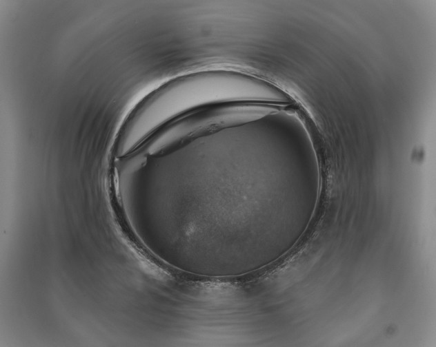 X0000091231024200708161712