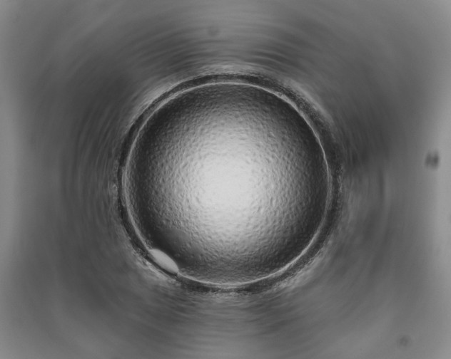 X0000091231025200708161712