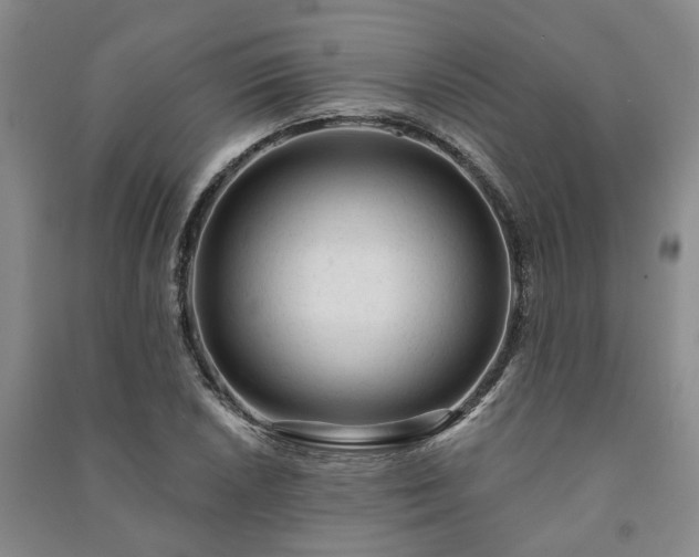 X0000091231026200708161712