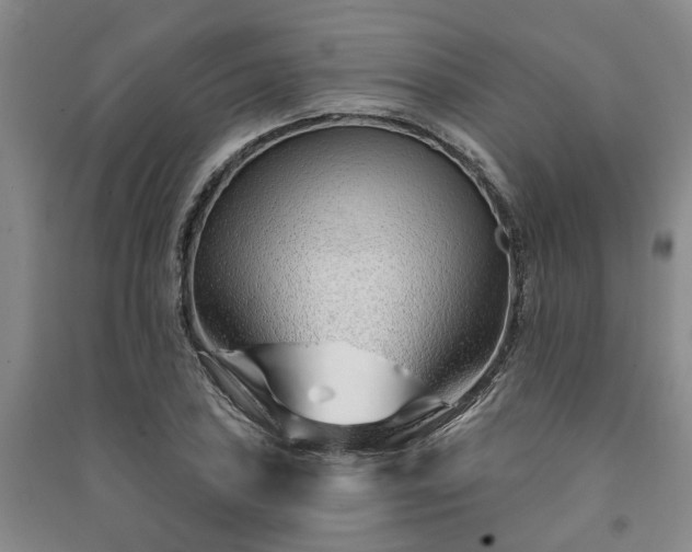 X0000091231027200708161712
