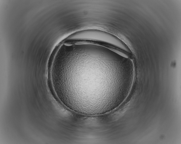 X0000091231028200708161712