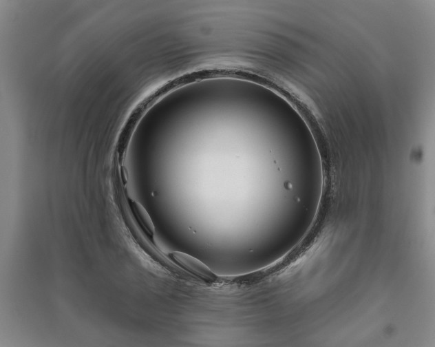 X0000091231029200708161712