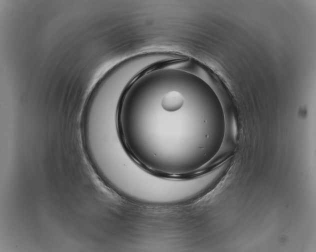 X0000091231030200708161712